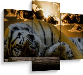 Tablou tigrul dormind (90x60 cm)