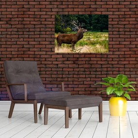 Tablou pe sticlă cu cerb (70x50 cm)