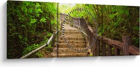 Tablou - Scări în natură (cu ceas) (90x30 cm)