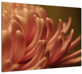 Tablou pe sticlă cu detailu florii (70x50 cm)