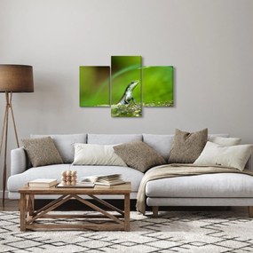 Tablou cu șopârlă (90x60 cm)