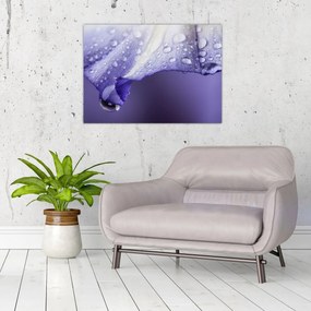 Tablou pe sticlă - Petală cu picături (70x50 cm)