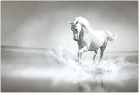 Tablou - Cal alb (90x60 cm)