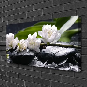 Tablou pe panza canvas Pietre florale flori alb negru