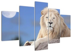 Tablou - Leu alb (150x105 cm)