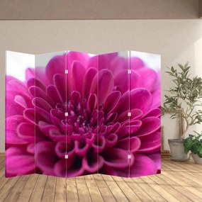Paravan - Floare (210x170 cm)
