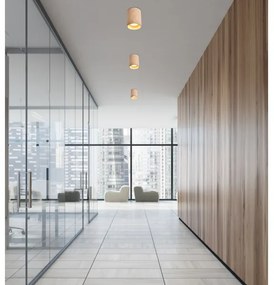 Plafonieră TUBA GU10/15W/230V