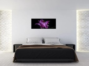 Tablou crinul (120x50 cm)