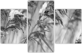 Tablou - Tei,alb-negru (90x60 cm)