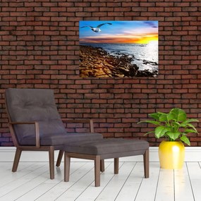 Tablou pe sticlă - Pescărușul zboară deasupra coastei (70x50 cm)