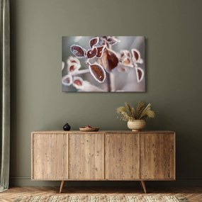 Tablou - Detaliu frunze (90x60 cm)