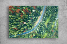 Tablou Canvas - Drumul dintre copacii inverziti