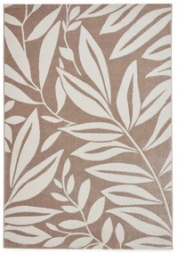Covor maro deschis 120x170 cm Sorral Leaves – Catherine Lansfield