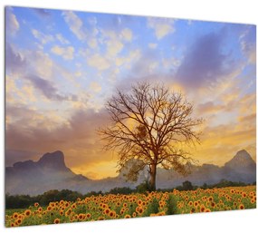Tablou - Peisaj cu floarea soarelui (70x50 cm)