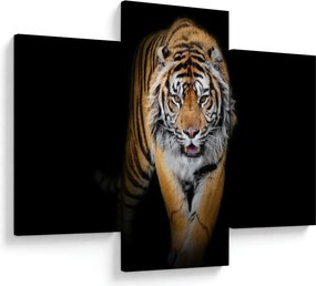 Tablou - Tiger (90x60 cm)