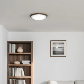 Rabalux 5427 - Plafoniera UFO 2xE27/60W/230V