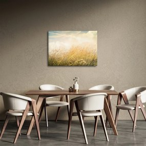 Tablou - Câmp toamna (70x50 cm)