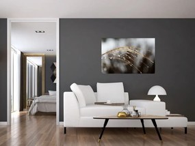 Tablou - Picături pe plantă (90x60 cm)