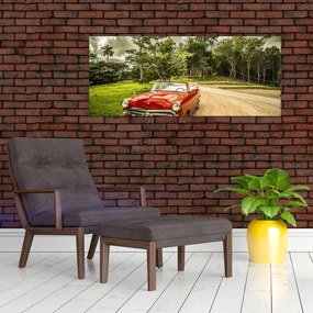 Tablou - mașina veteran în natură (120x50 cm)