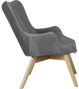 Fotoliu gri cu tapițerie din catifea Niko – Ropez