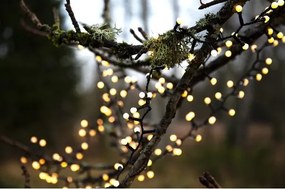Eglo - Instalație luminoasă de exterior cu LED pentru Crăciun BERRY MINI, 700 de LED-uri, 8 funcții, 19 m, IP44, alb cald