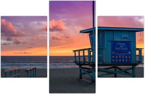 Tablou de pe plaja Santa Monica (90x60 cm)