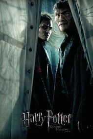 Poster de artă Harry Potter - Snatchers