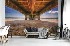 Fototapet - Mol (254x184 cm)