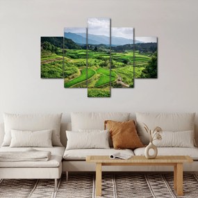 Tablou cu câmp de orez (150x105 cm)