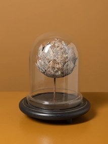 Cupolă decorativă din sticlă, anghinare din metal cu petale sculptate, gri, bază din lemn de mango, finisaj antichizat, 26 x 23 cm, „Artichaut”