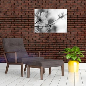 Tablou - Flori alb-negru (70x50 cm)