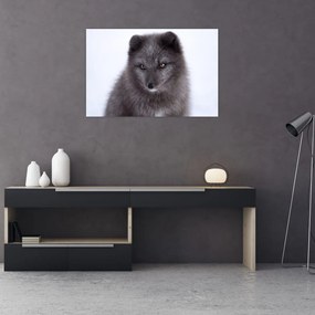 Tablou cu vulpe polară (90x60 cm)