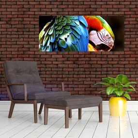 Tablou - Papagal (120x50 cm)