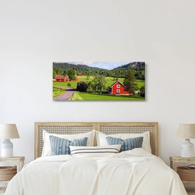 Tabloul cu țară (120x50 cm)