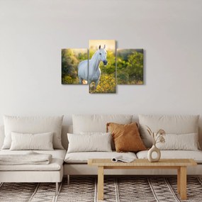 Tablou - Cal alb în poină (90x60 cm)