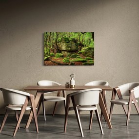 Tablou cu pădurea fermecată (90x60 cm)