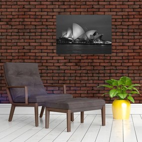 Tablou cu Opera din Sydney (70x50 cm)