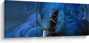 Tablou - Porumbel încoronat (cu ceas) (90x30 cm)