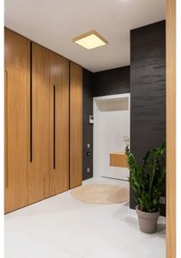 Plafonieră LED TIBEY LED/15W/230V 25x25 cm Globo 12382-15