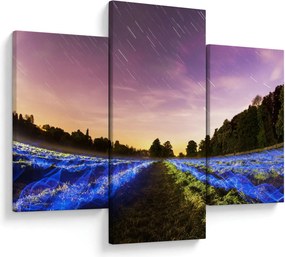 Tablou cu câmp colorat (90x60 cm)