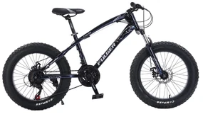 Bicicleta Fulger by Caraiman, roti 20 inch, cauciucuri groase, frane pe disc, BC51