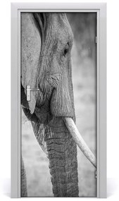 Autocolante pentru usi elefant de perete