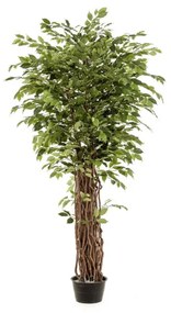 Ficus artificial Benjamina Liana Deluxe - 205 cm