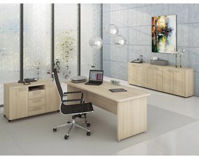 Set mobilier de birou TopOffice 3, salcam deschis