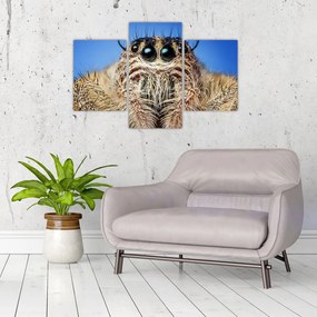Tablou cu detalii a unui pâianjen (90x60 cm)