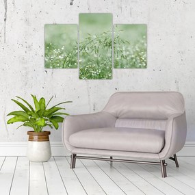 Tablou - Trandafir în iarbâ (90x60 cm)