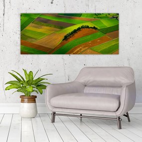 Tablou - Lan, luncile (120x50 cm), în 40 de alte dimensiuni noi