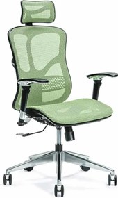 Scaun lemn masiv de birou ErgoFlex - Verde
