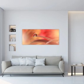 Tablou picăturii de rouă pe floare (120x50 cm)