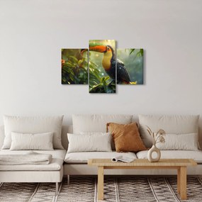 Tablou - Tukan (90x60 cm)